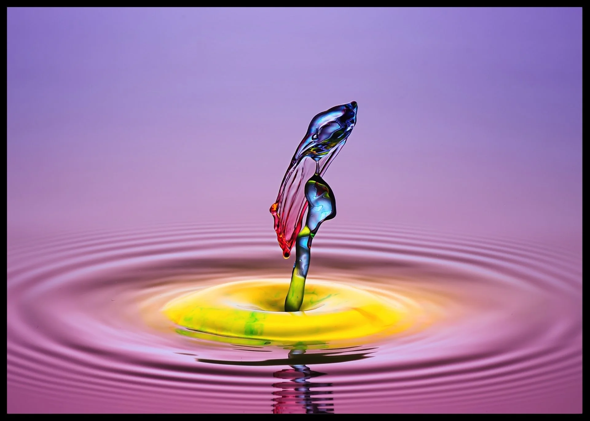 Miniatyr 1