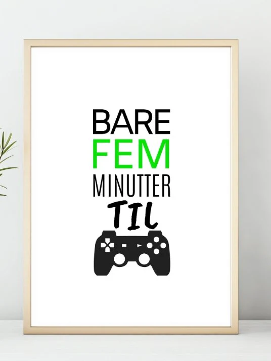 Miniatyr 1