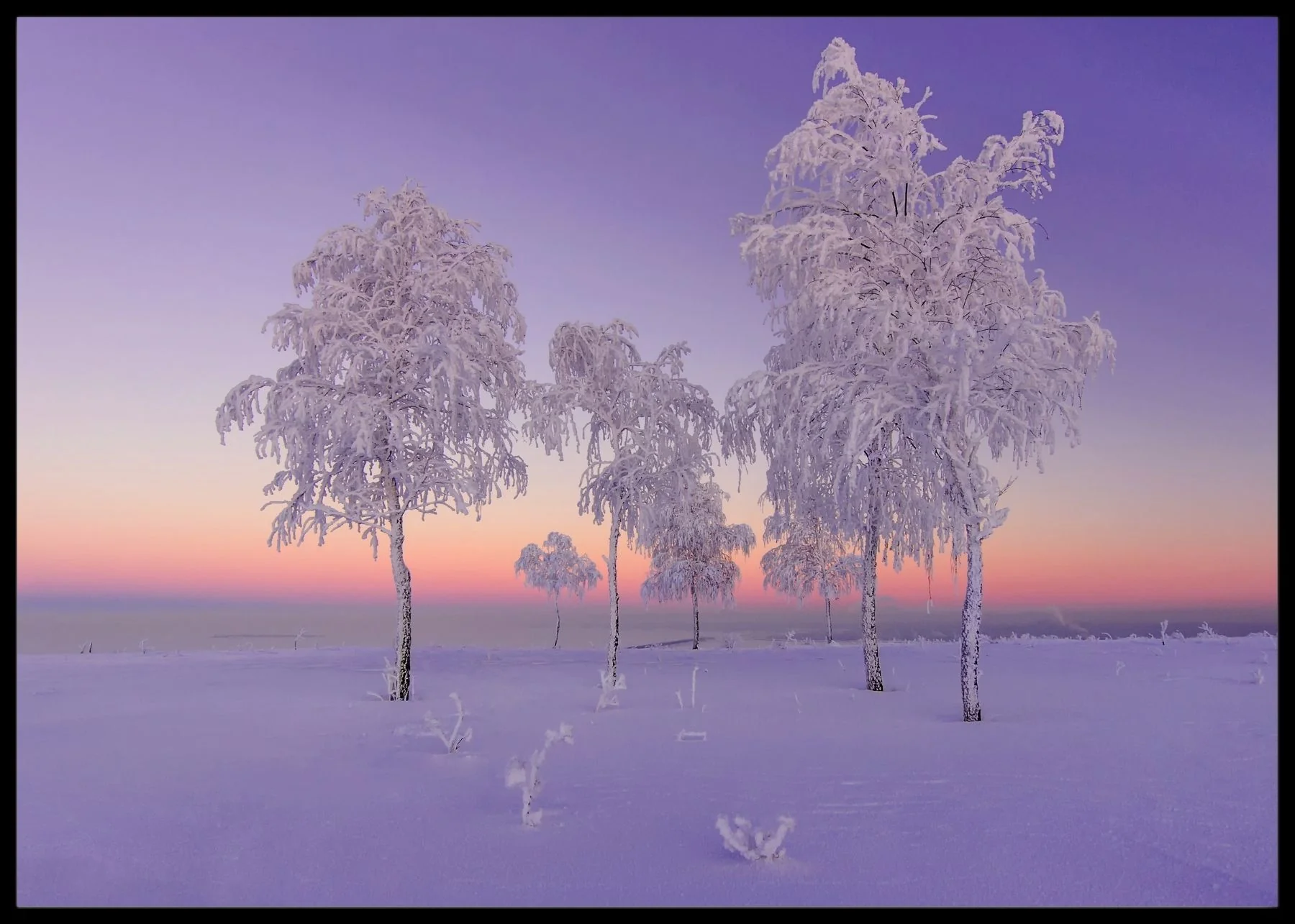 Miniatyr 1